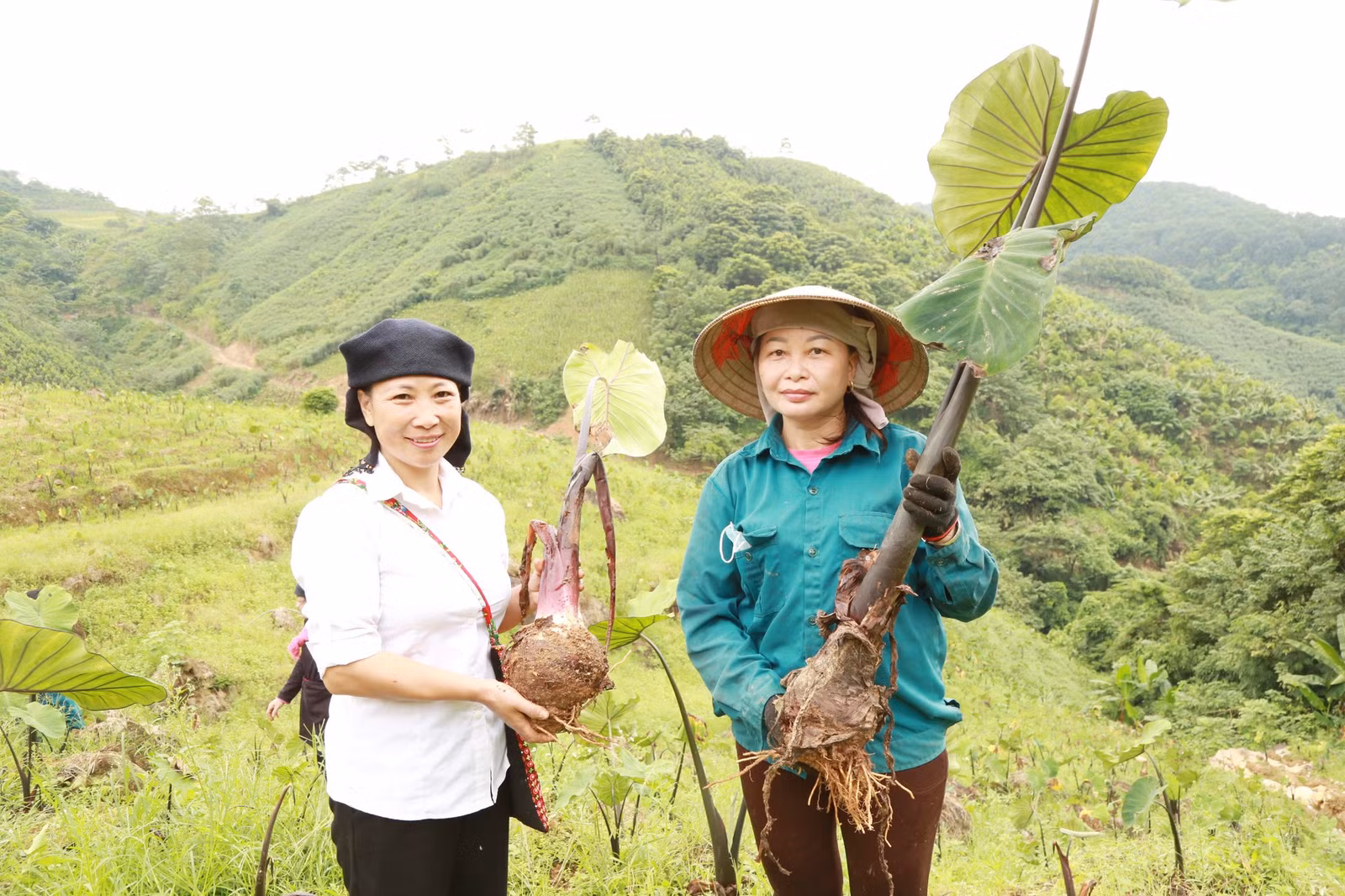 2-9699-9674.jpg