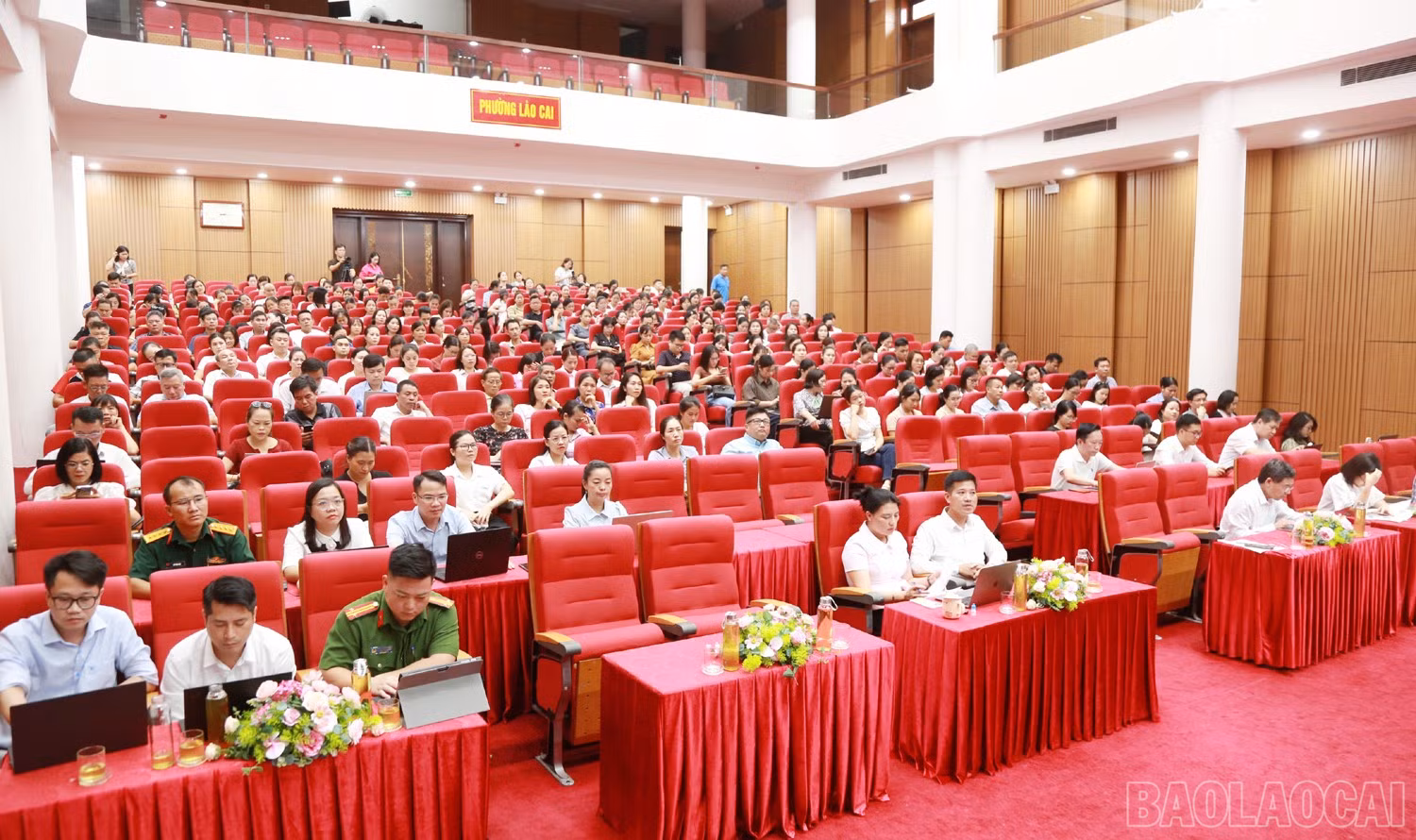baolaocai-br_2-1609.jpg