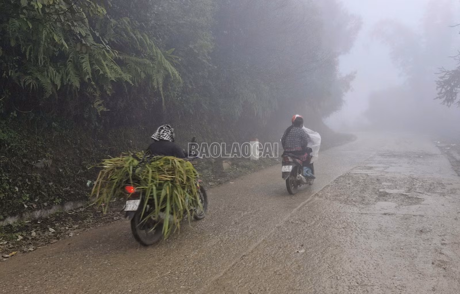 baolaocai-c_z6222940317099-3f78bb3ed24ff3e926e1b039b04253c7.jpg