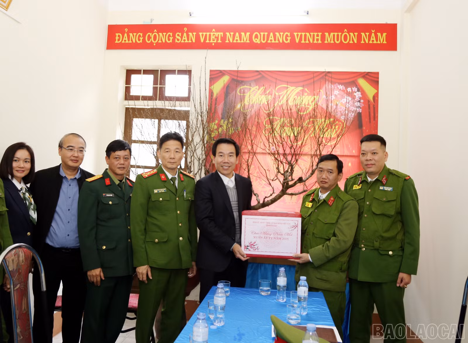 baolaocai-br_a5.jpg