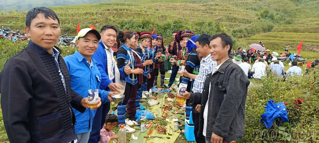 baolaocai-br_8.jpg