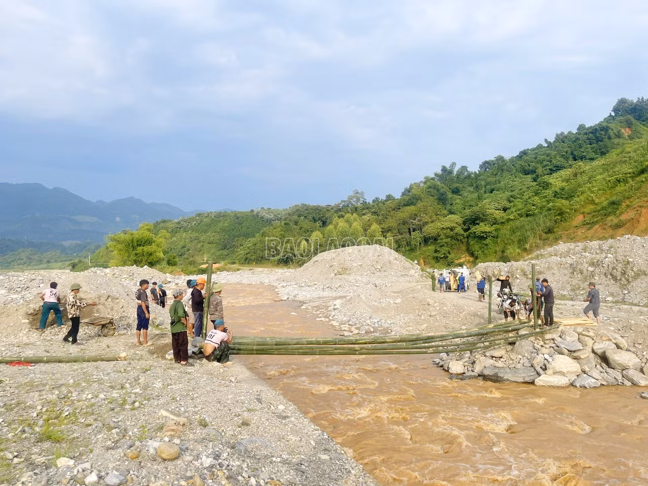 baolaocai-c_6.jpg