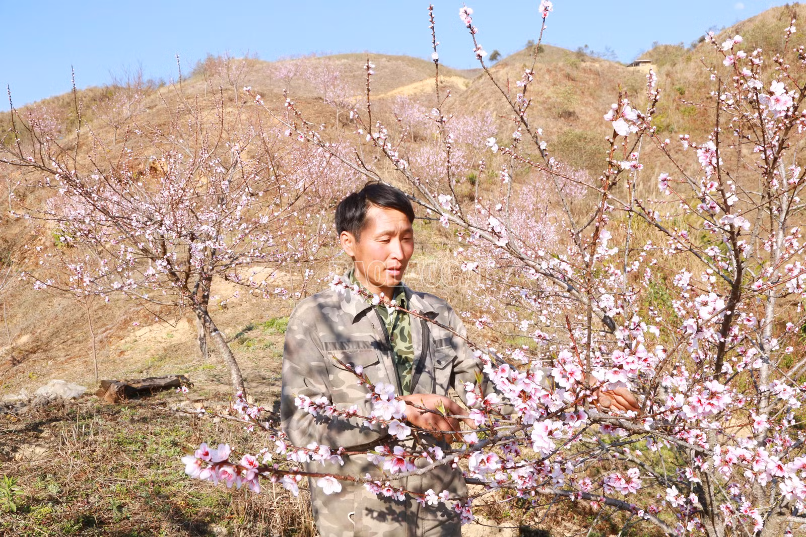 baolaocai-c_6-3097.jpg