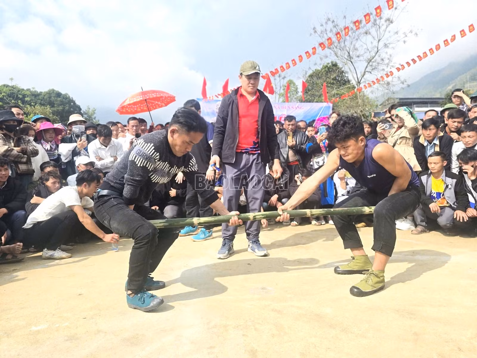 baolaocai-c_3.jpg