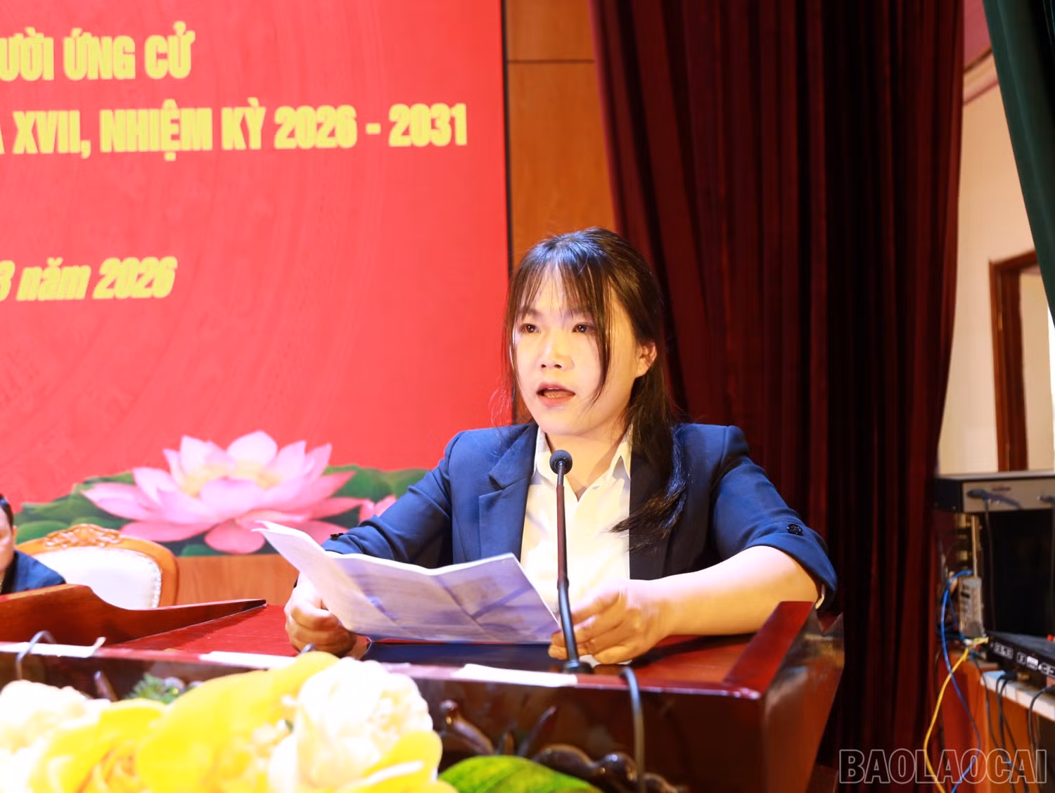 baolaocai-br_9.jpg