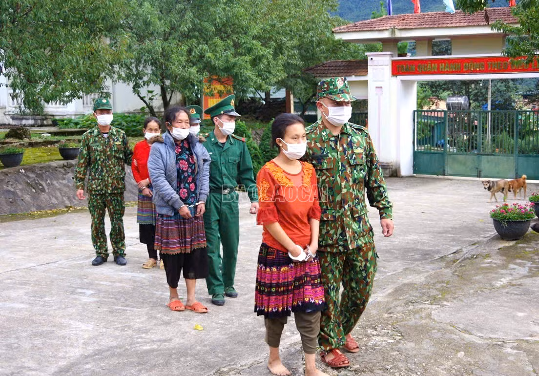 baolaocai-c_8-6893.jpg
