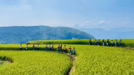 Giữ lớp, giữ ước mơ cho học trò