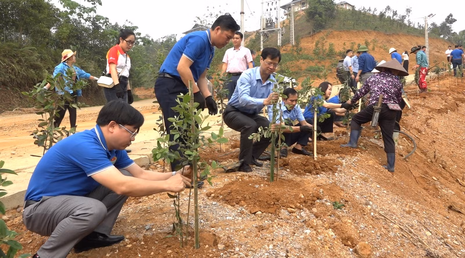 quang-canh-buoi-ra-quan-trong-cay-tai-cac-tuyen-duong-thon-lang-nu.jpg