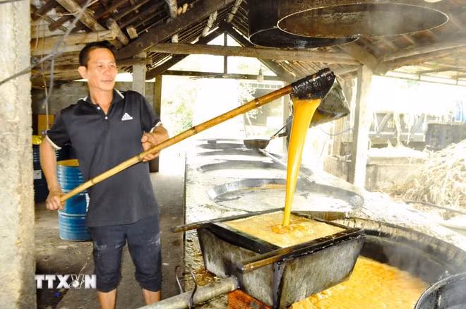 Nghề nấu mật mía tại xã Nghĩa Hành (tỉnh Nghệ An đảm bảo đầu ra cho vùng nguyên liệu mía tươi; mang lại sinh kế, giúp bà con trên địa bàn nâng cao thu nhập, giải quyết công ăn việc làm cho hàng ngàn lao động địa phương.