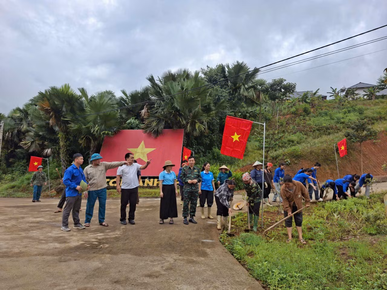 duong-co-to-quoc.jpg