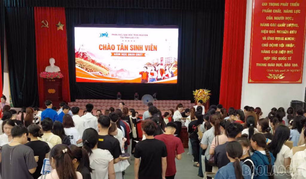 baolaocai-br_anh-5-tan-sv-nhap-hoc-259.png