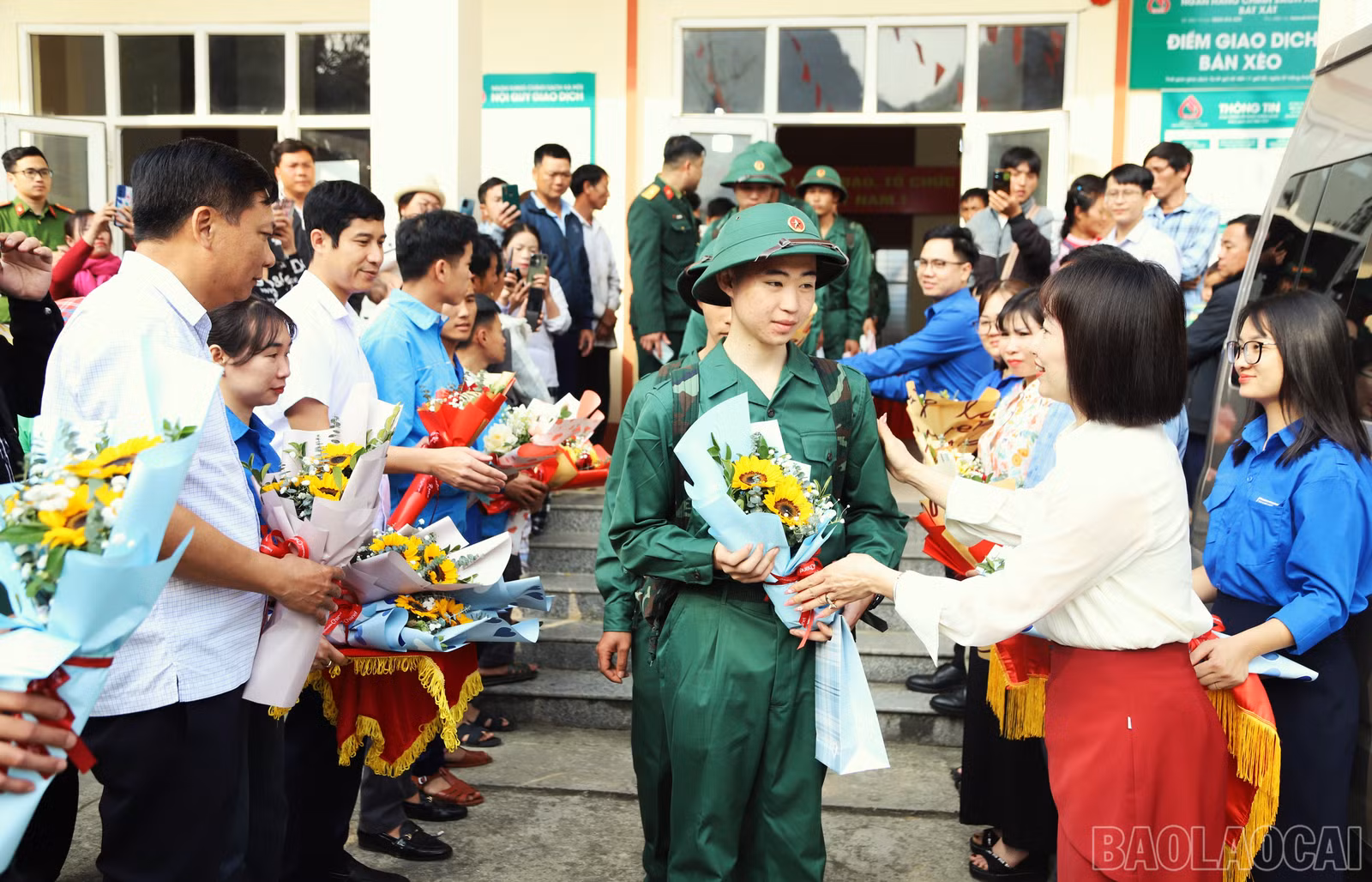 baolaocai-br_7-2.jpg