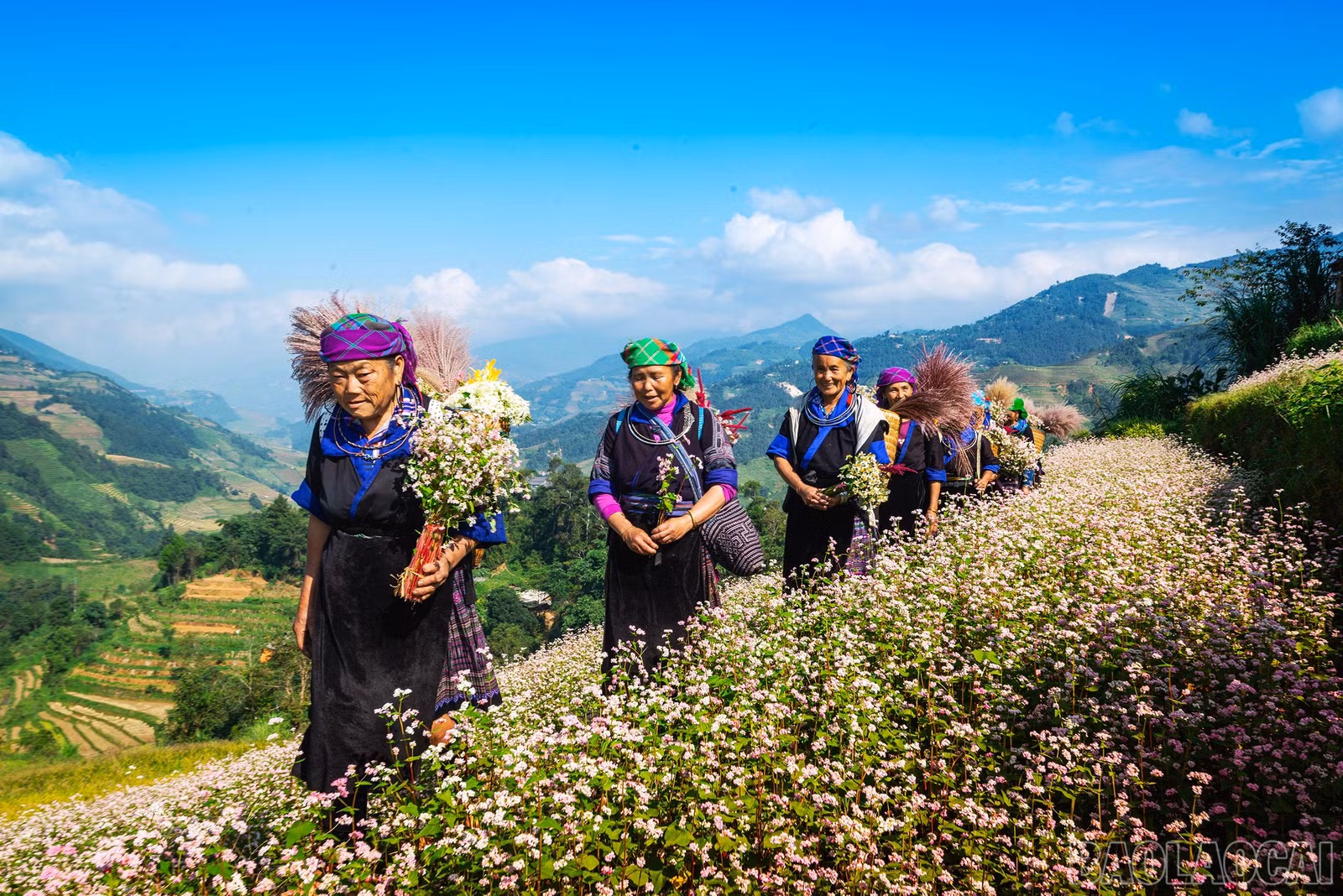 baolaocai-br_00a7536-di-trong-huong-mua-thu-mu-cang-chai-2.jpg