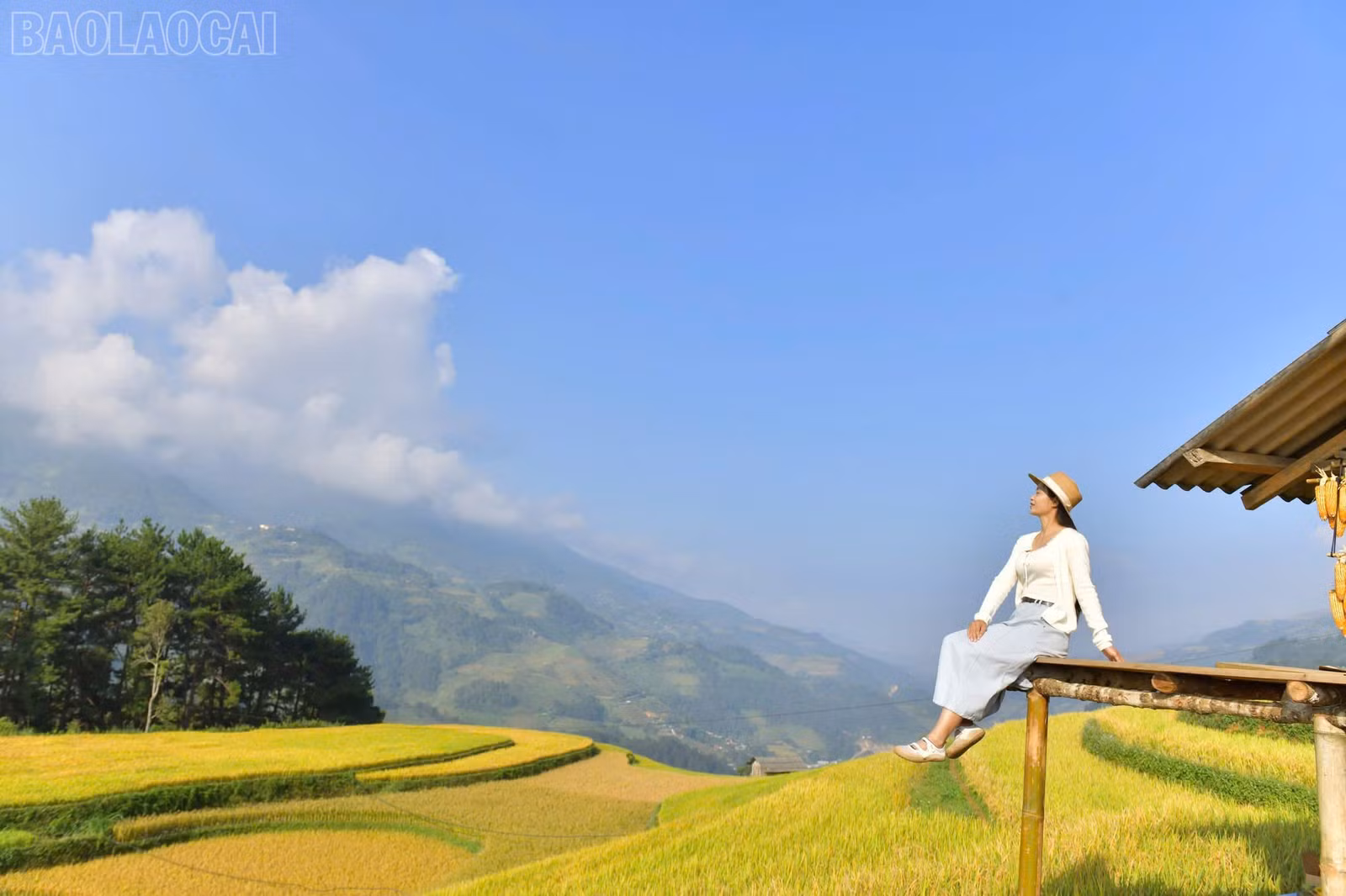 baolaocai-tl_z7366612939176-0585a6e45b527a49ade52acfb37946c8.jpg