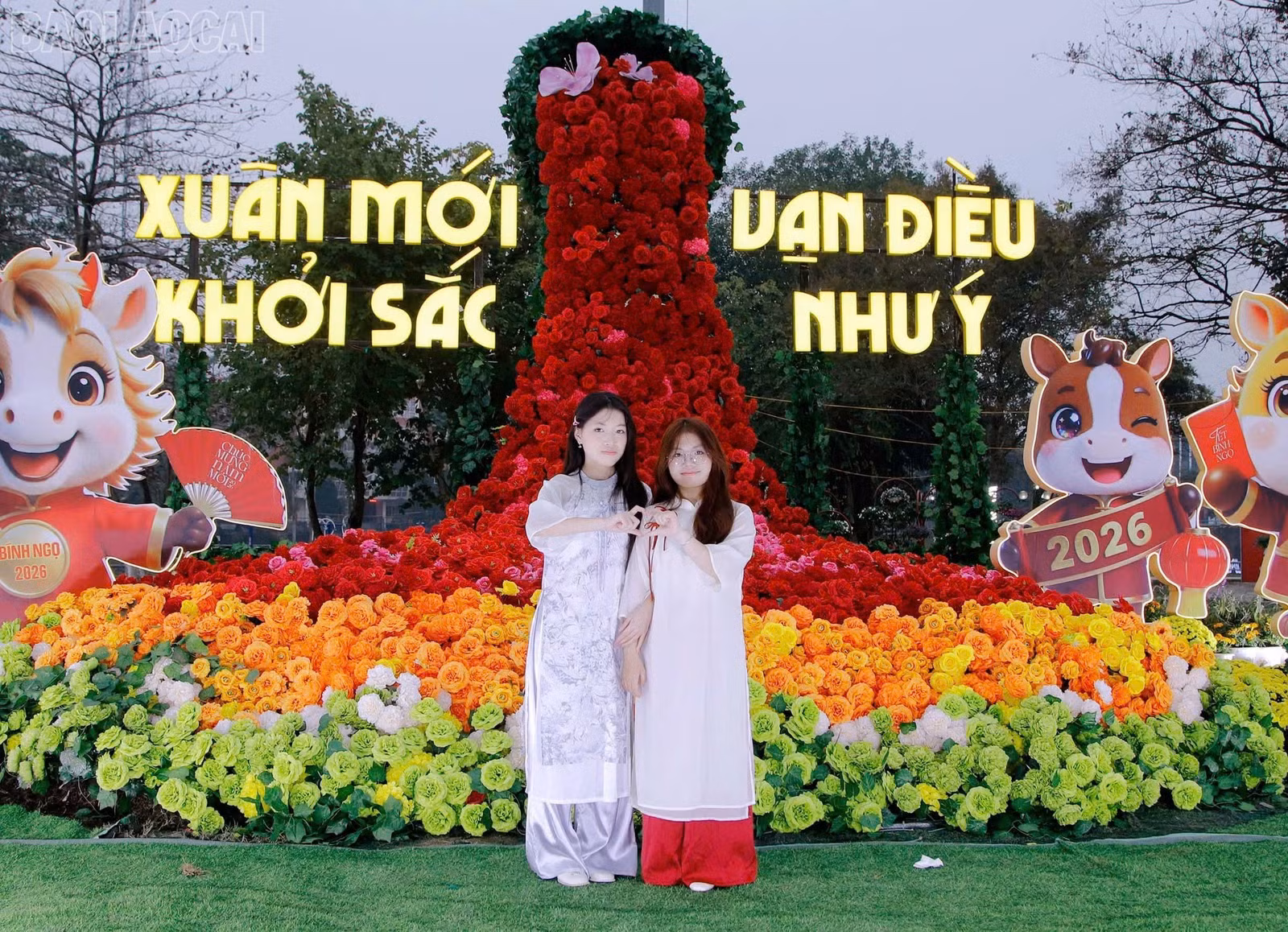 baolaocai-tl_z7546423606936-18ba0692ed50107f8cd98c85472b55bf.jpg