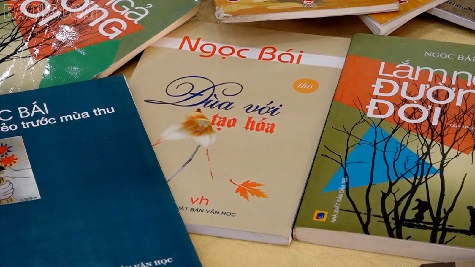 baolaocai-tl_van-nghe-ngay-6-4-2025-ngoc-bai-voi-nhung-dau-an-vhnt00-14-53-08still004.jpg