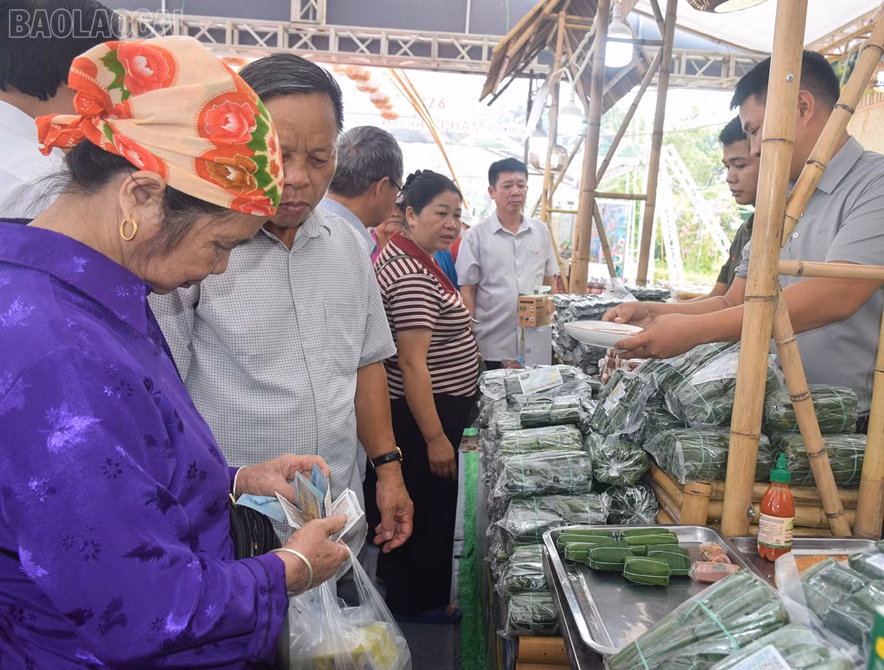 baolaocai-tl_484edba8-e56b-4b05-845c-863781a743d2.jpg