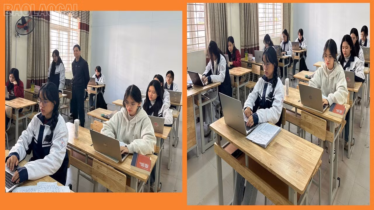 baolaocai-tl_presentation1.jpg