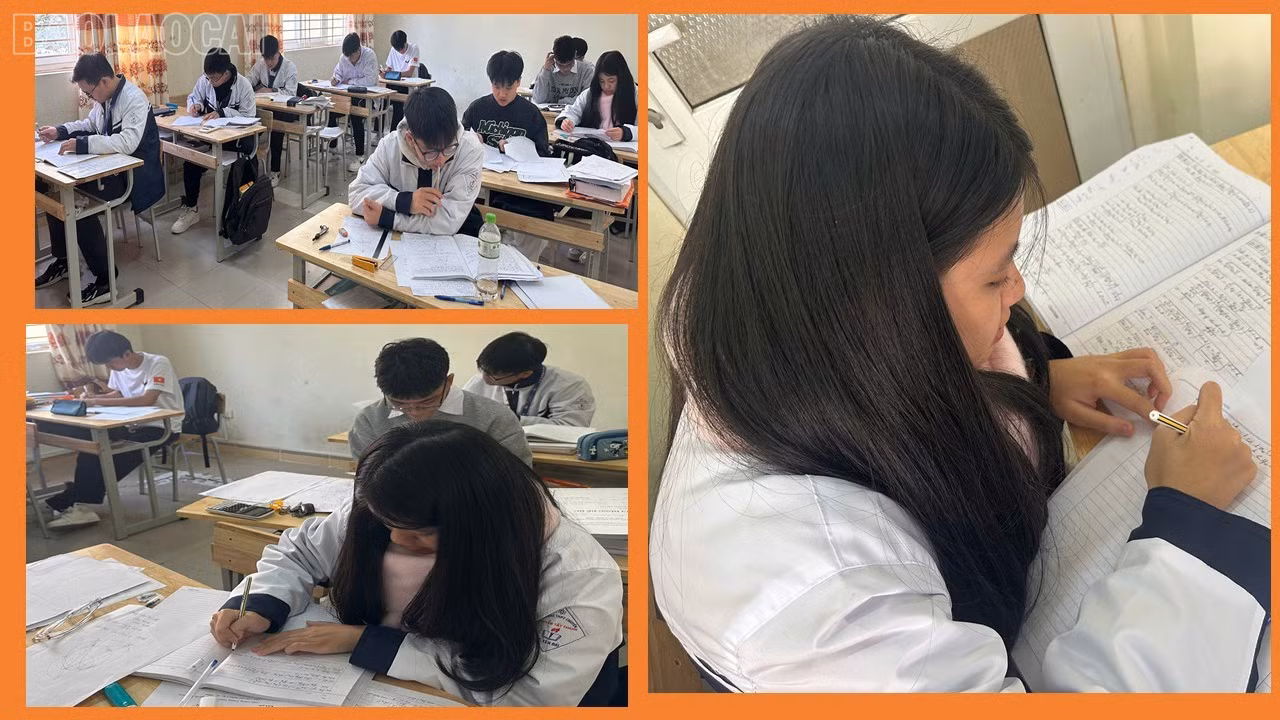 baolaocai-tl_presentation2.jpg
