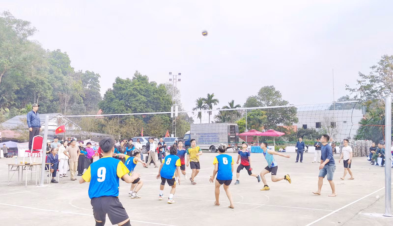 baolaocai-tl_z7553601638092-9d5a56fe892aa57b999a74ff7f33dad4.jpg