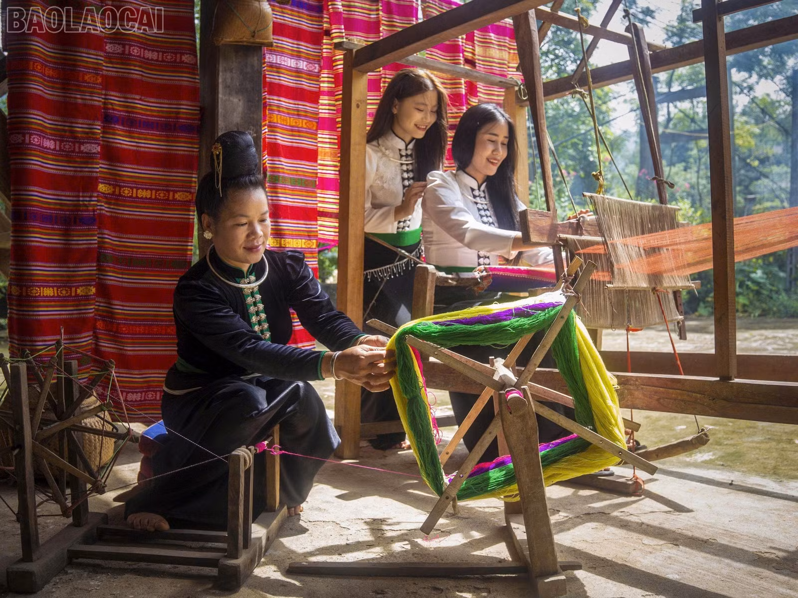 baolaocai-tl_1789787661524-5682971438247034520-5682971438247034520-f196066fd7d7644ec583e26519ace57c.jpg