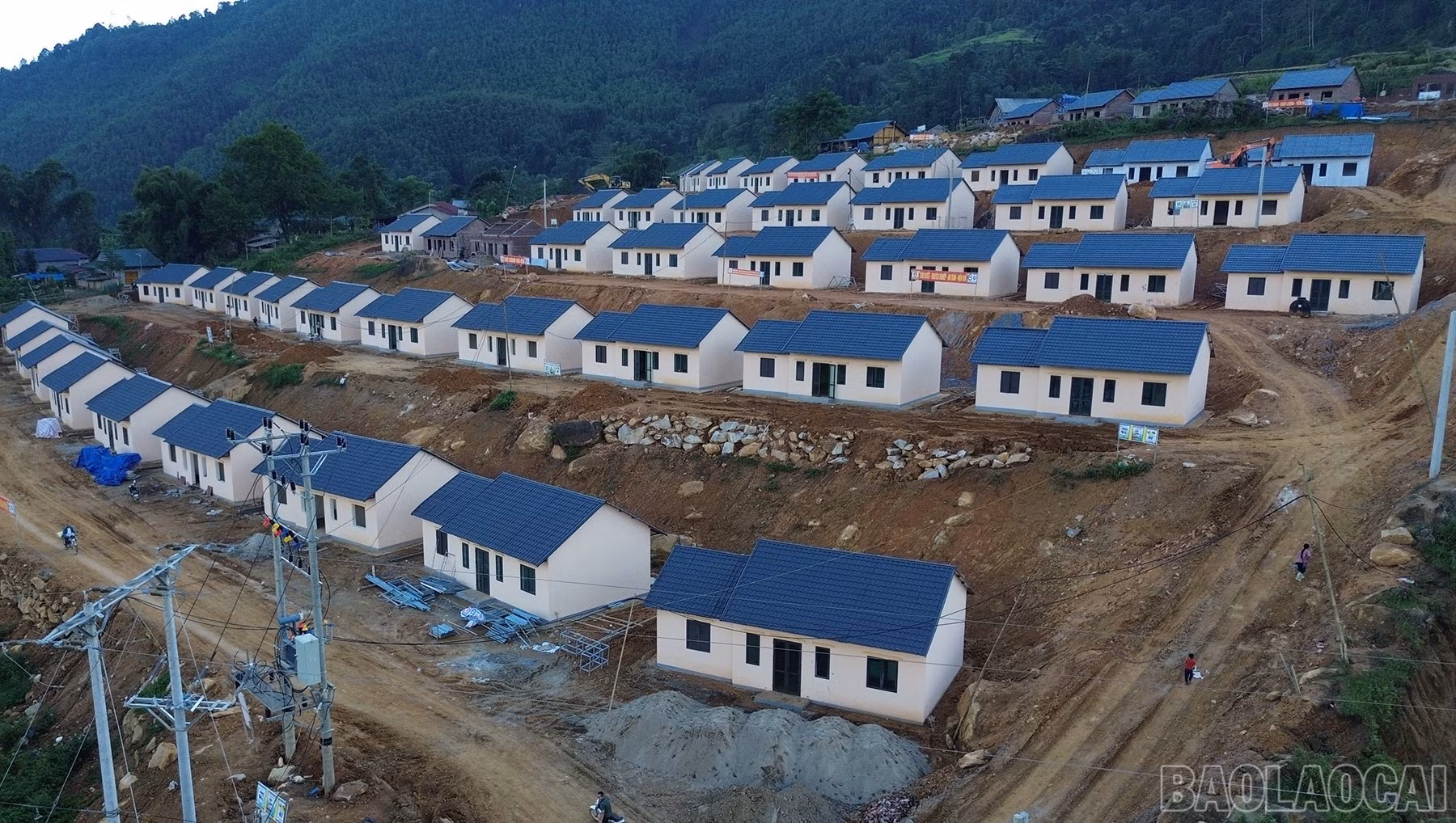 baolaocai-br_dji-0450.jpg