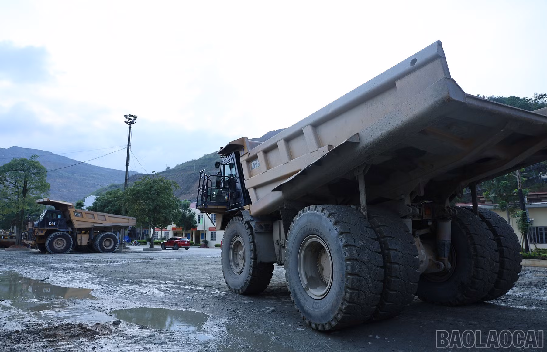baolaocai-br_img-7834.jpg