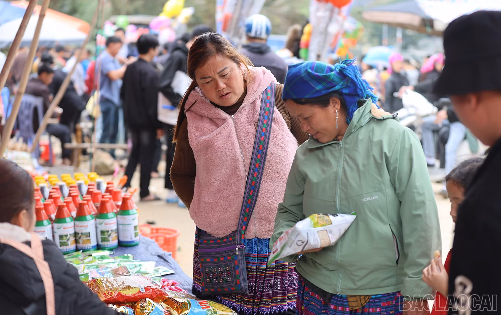 baolaocai-br_img-6513.jpg