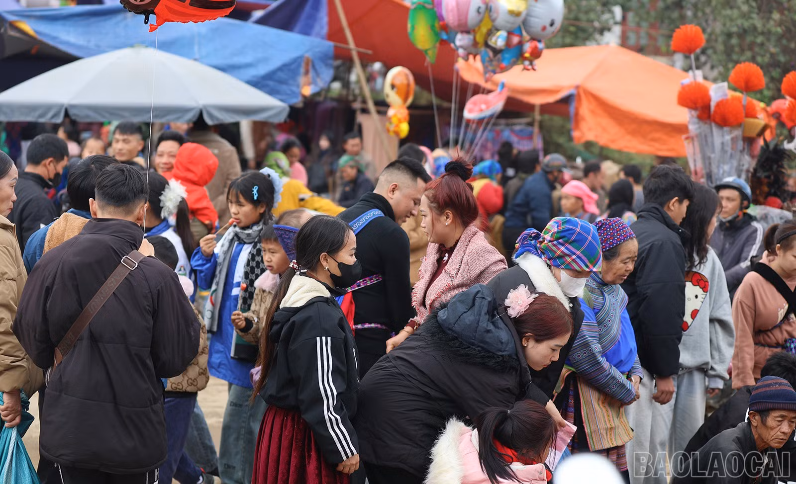 baolaocai-br_img-6411.jpg