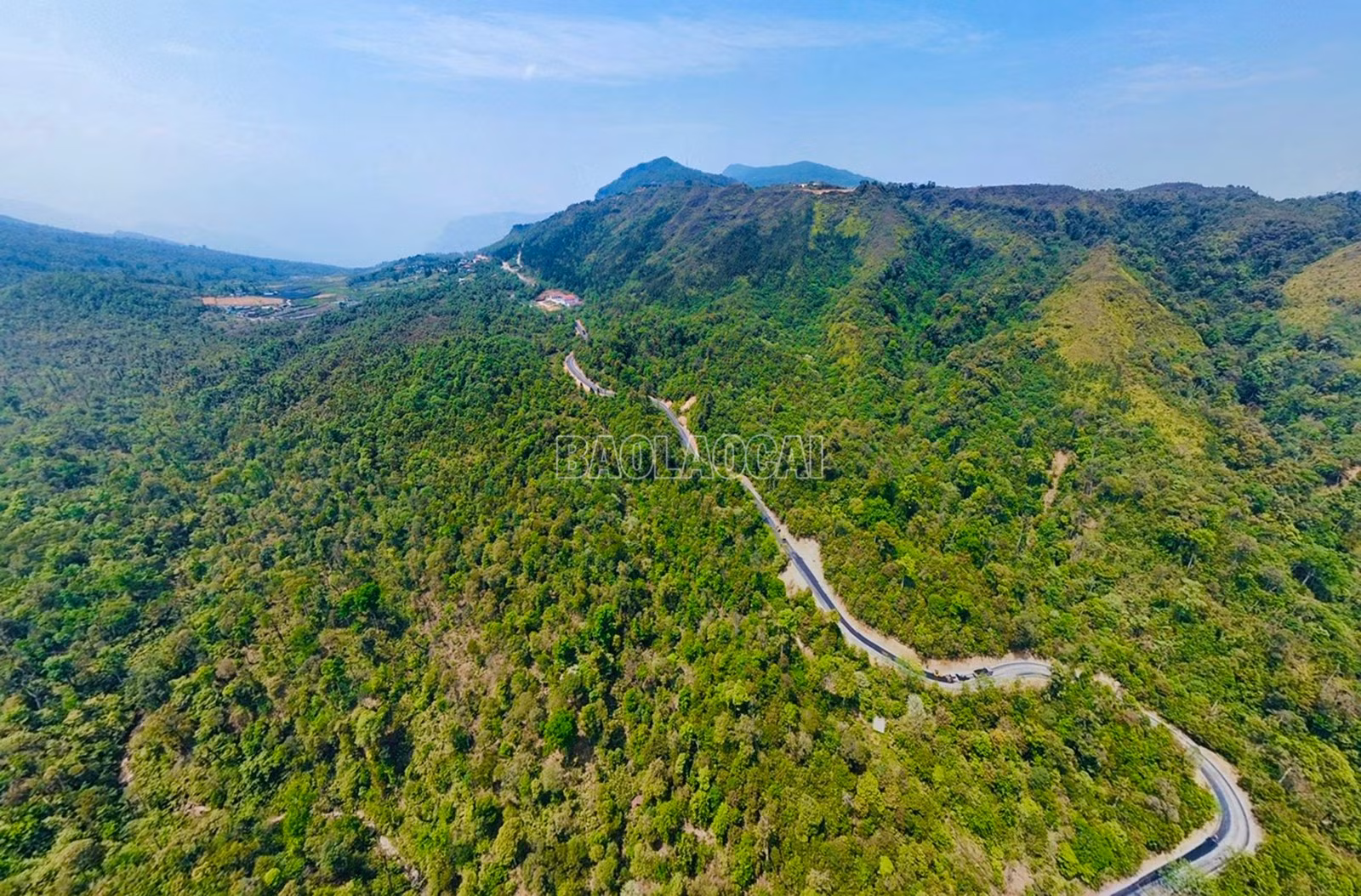 baolaocai-c_z6492898225791-2839e6236526beb750f8156dc7b63442.jpg