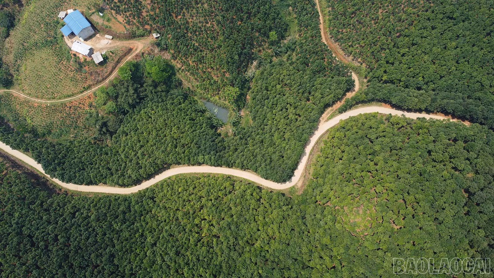 baolaocai-br_dji-0928.jpg