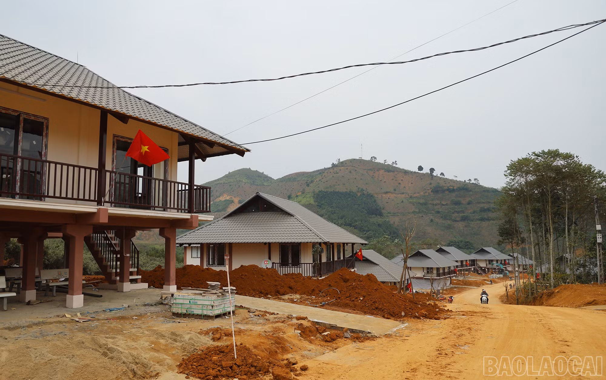 baolaocai-br_img-5709.jpg