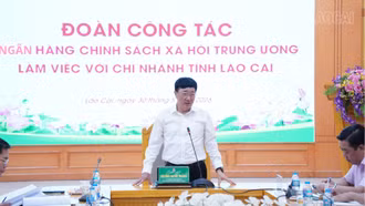 Tổng Giám đốc Ngân hàng CSXH Trung ương làm việc với Chi nhánh Ngân hàng CSXH tỉnh Lào Cai