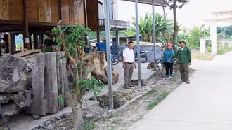 Khi lòng dân đồng thuận