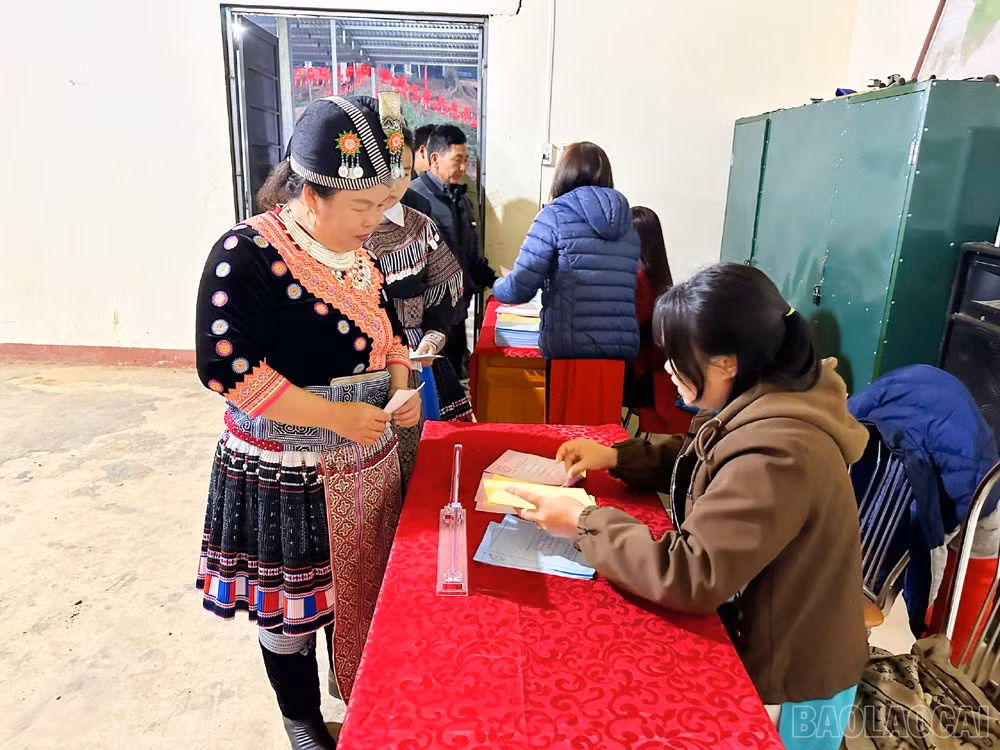 baolaocai-br_4.jpg