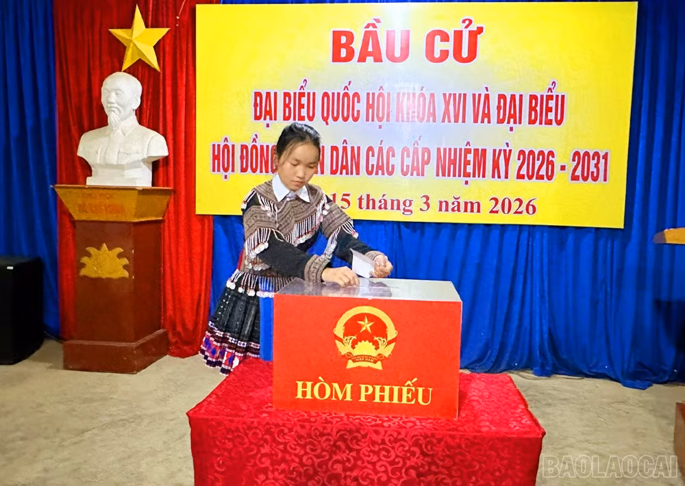 baolaocai-br_7.jpg
