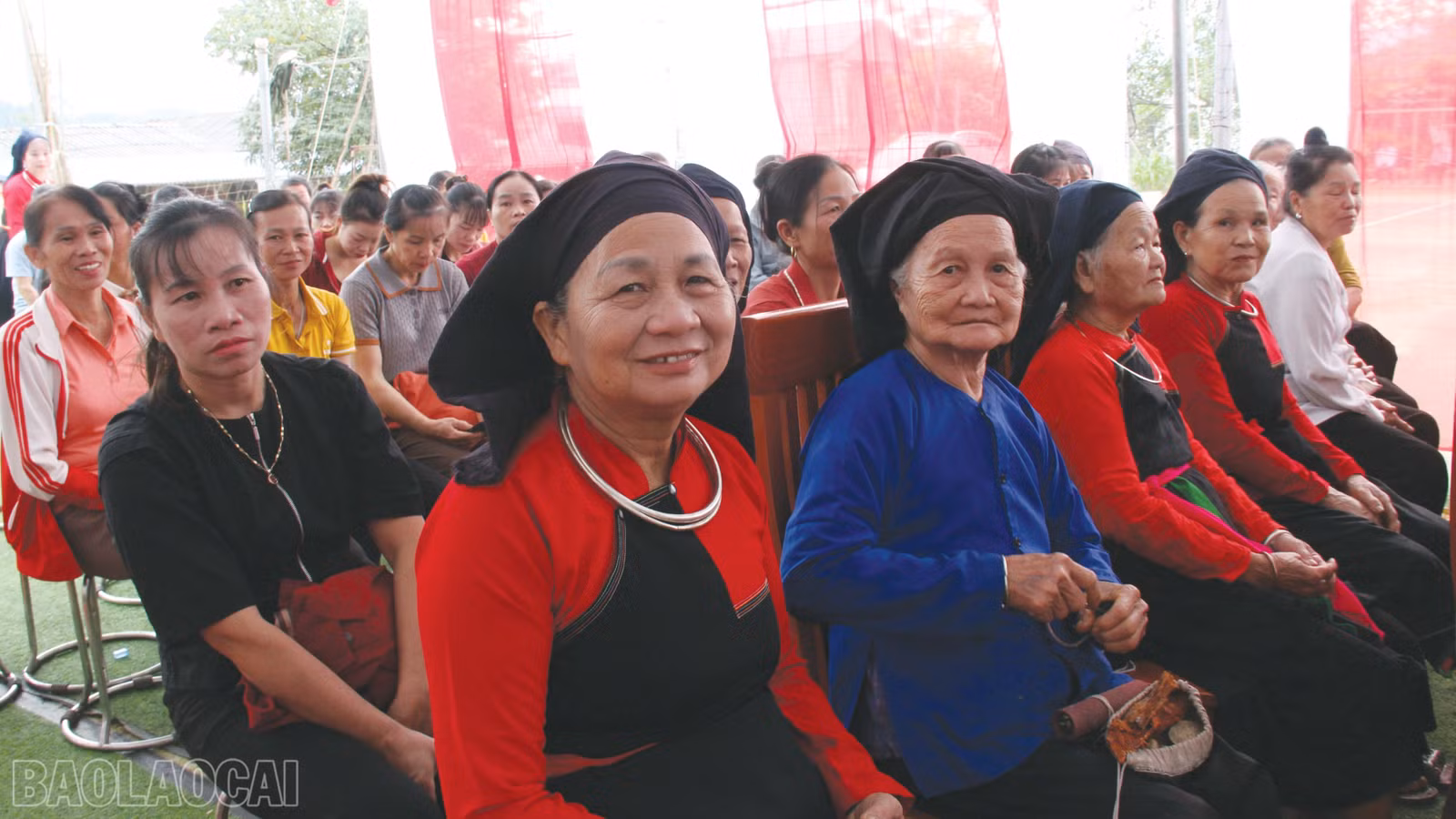 baolaocai-bl_7-2597.jpg
