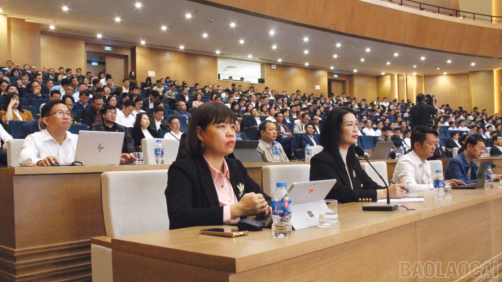 baolaocai-br_7-4030.jpg