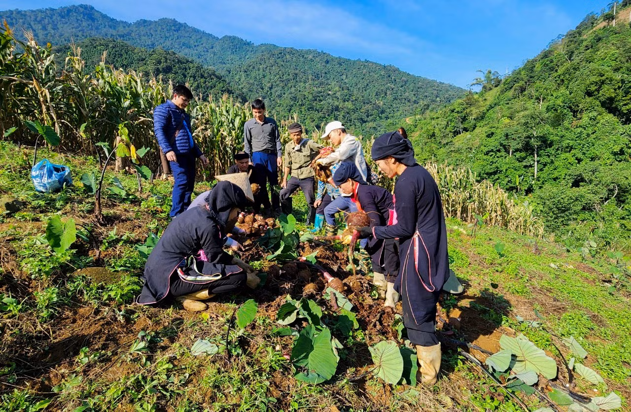Vận động Nhân dân tích cực lao động sản xuất, xây dựng NTM.jpg