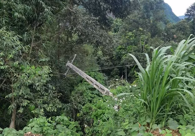 Si Ma Cai.jpg