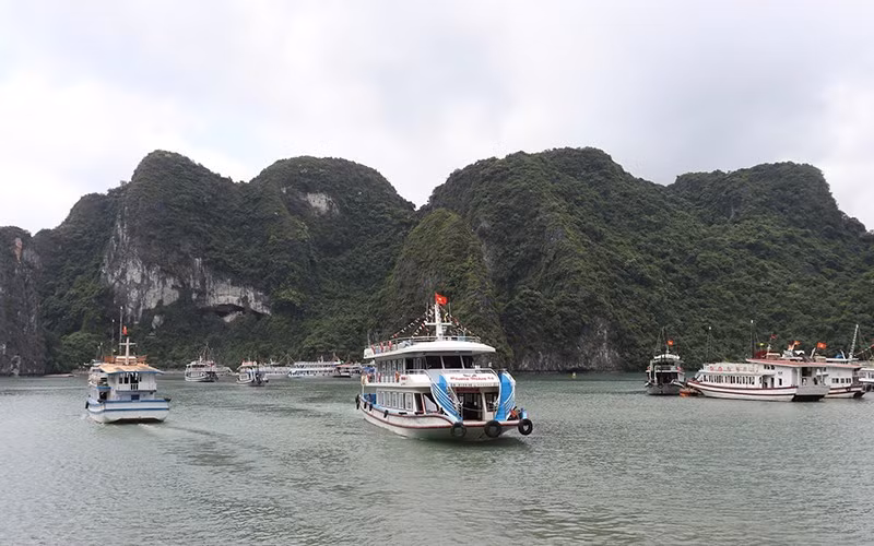 anh-dl-2-4146-725.jpg