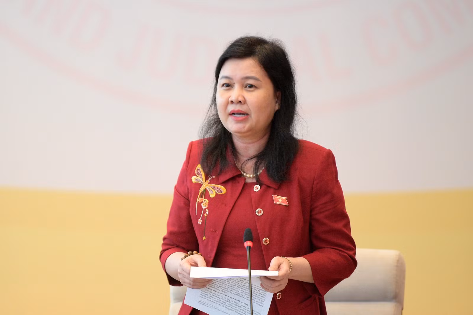 Phó Chủ nhiệm Ủy ban Pháp luật và Tư pháp Nguyễn Phương Thủy phát biểu