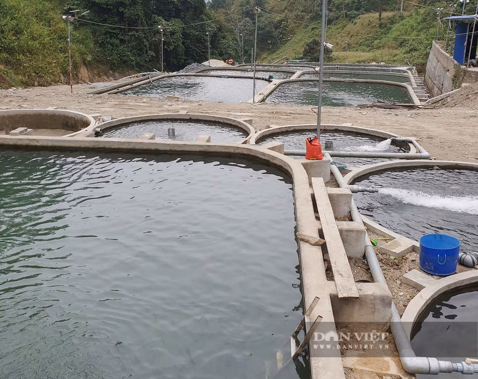 Các trại cá nước lạnh của HTX Thức Mai được đầu tư xây dựng rất hiện đại.