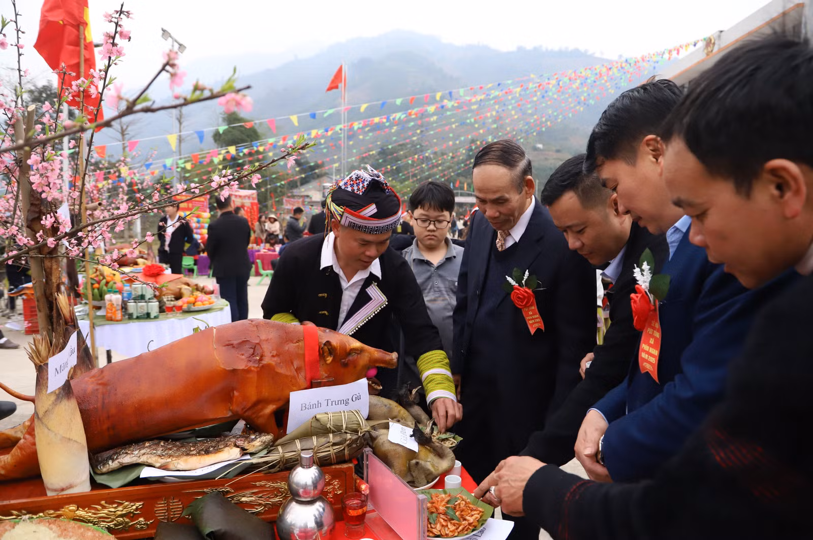 7-dai-bieu-tham-quan-mam-co.jpg