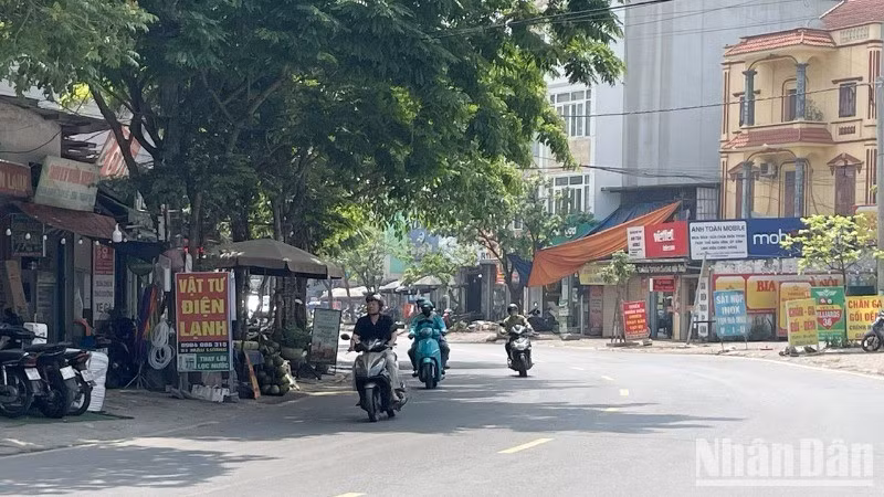 ndo-br-nangnong2-4254-4759-1633-7588.jpg