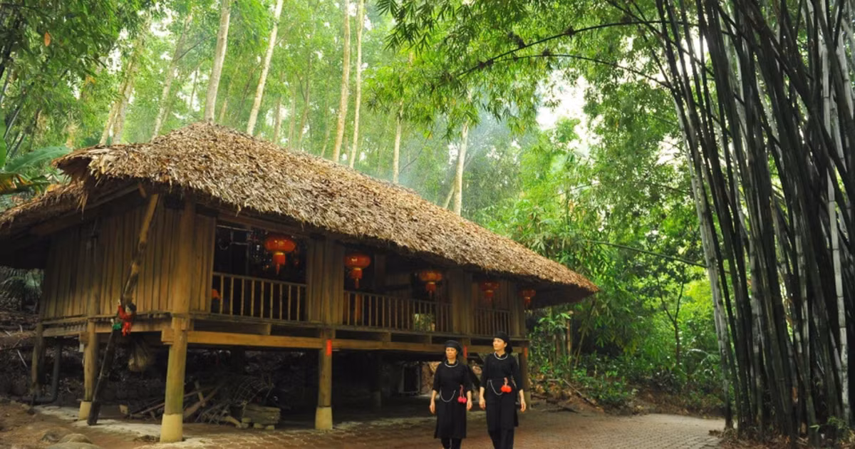 thiet-ke-chua-co-ten-169-1851-5616.png