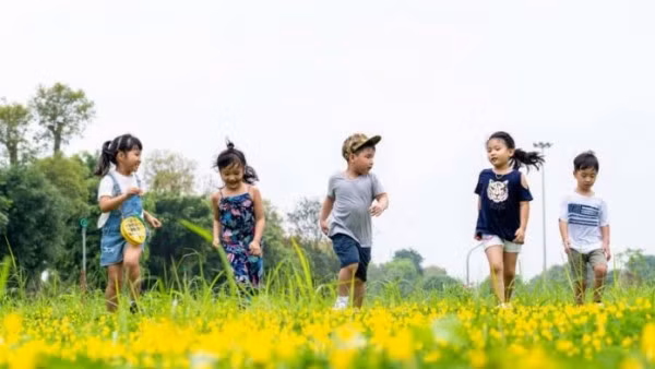 Việc bỏ quy định kỷ luật đảng viên sinh con thứ ba nhằm thích ứng linh hoạt trước những biến động về cơ cấu dân số và yêu cầu phát triển bền vững trong tình hình mới - Ảnh minh họa.