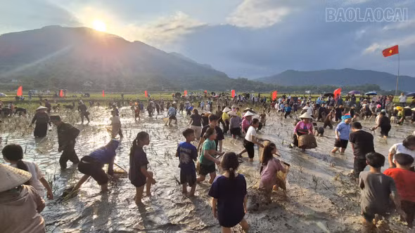 Sôi nổi hội thi "Bắt cá ruộng" phường Cầu Thia