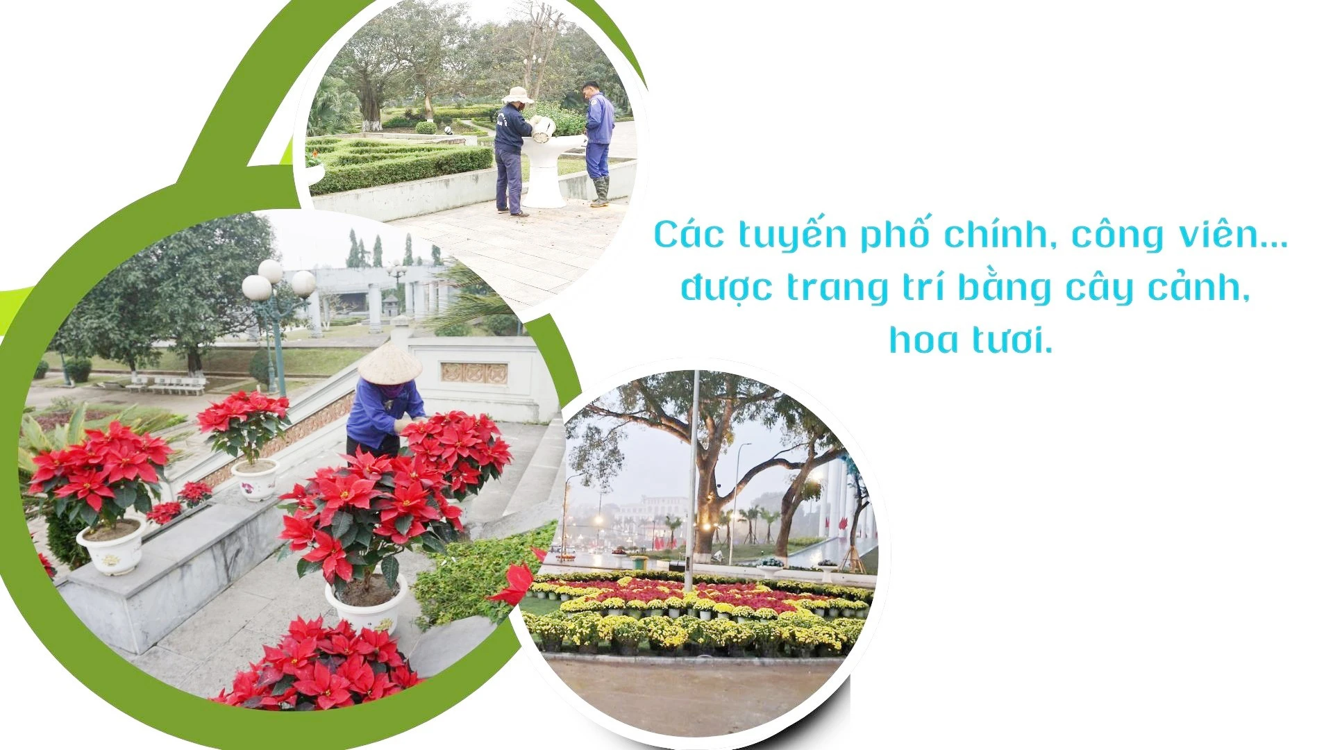 green-modern-hydroponic-farming-innovations-presentation-2026-02-11t220526410-7782.jpg