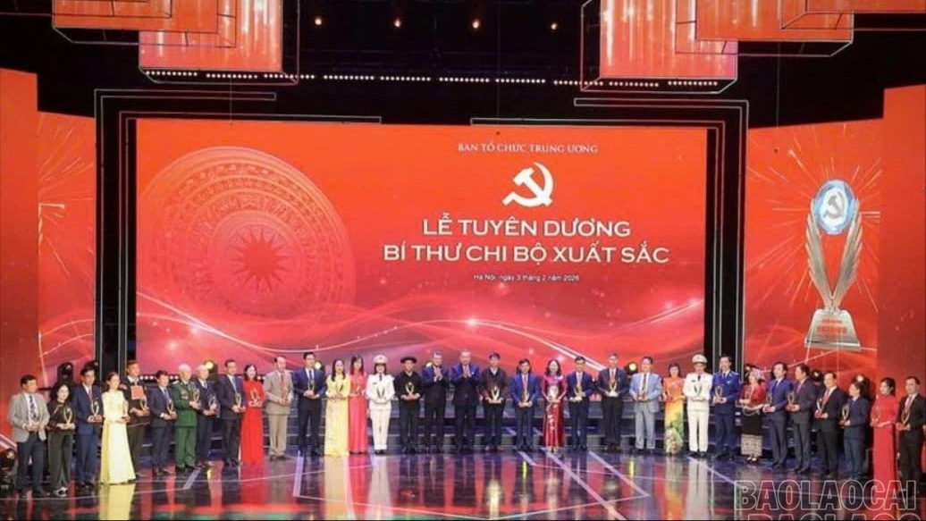 baolaocai-br-anh-2.jpg